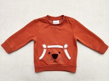 Baby Pullover Gr.80 Löwe