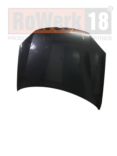 6019800 motorhaube golf v - motorhaube, vw
