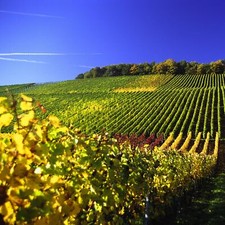 Woche urlaub bayern franken - woche,