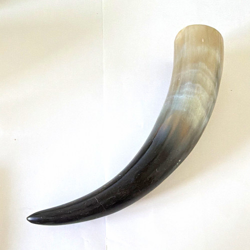 Gebogenes trinkhorn aus - gebogenes,