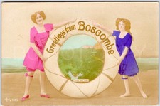 Seltene Boscombe Aristophot