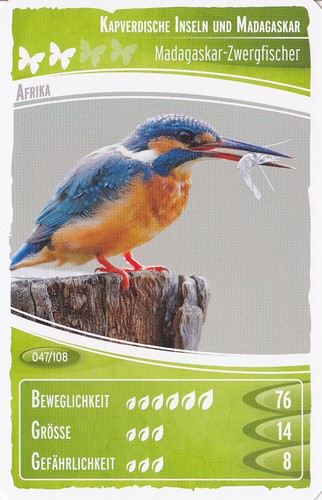 Netto ozeanien - ,