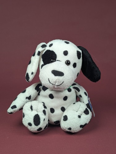 Hund sarah schlappohr - sarah,