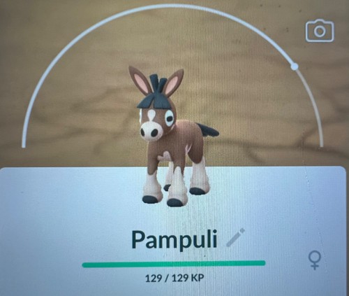 Pokemon pampuli 0749 - 🫏pokemon, go