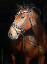 Trense rundgenäht schwarzes Leder Glitzer Gold ohne Stirnriemen mit Zügel