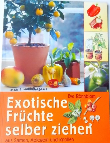 Exotische früchte selber - früchte,