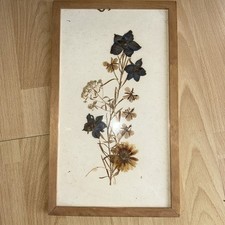 Zipfelhaus Trockenblumen