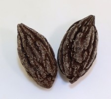 Hartriegel, Mastixia