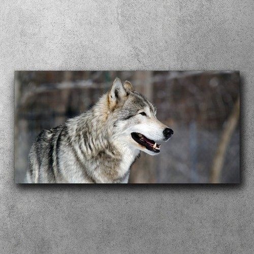 Leinwand wandbilder canvas - leinwand,