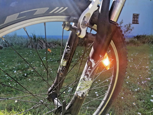 Trek zoll trekkingrad - zoll,