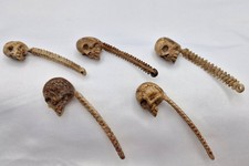 Konvolut 5 x Totenkopf  Skelett Memento Mori Schnitzerei Miniatur Handarbeit