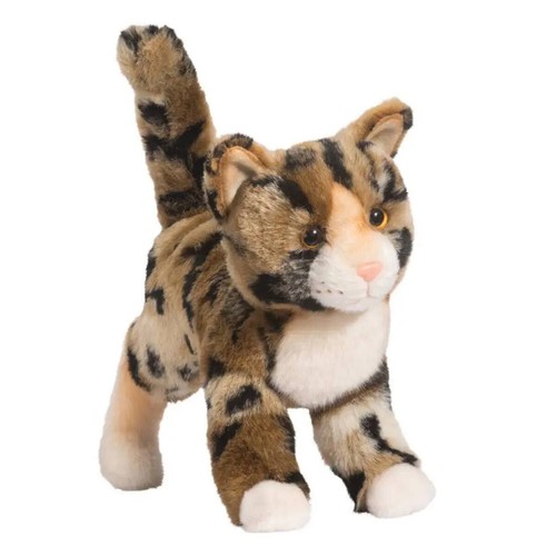 Tashette bengalkatze - tashette,
