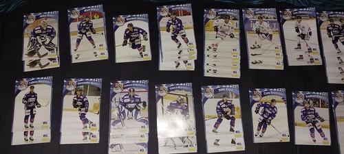 Straubing tigers - straubing,