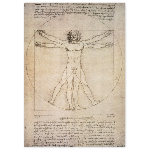Leonardo vinci der - vinci,,