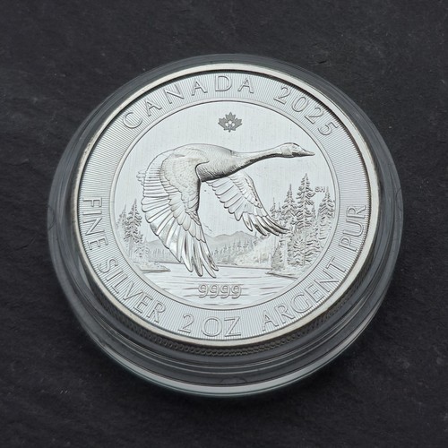 Canadian goose 2oz 999 - goose,