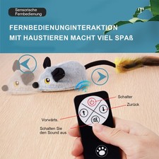  Elektrische Ferngesteuerte