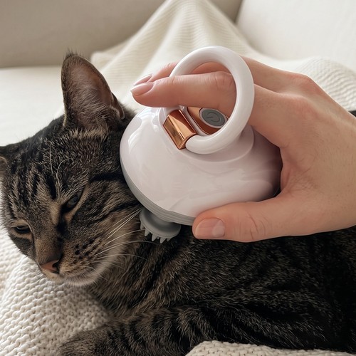 Kopfmassagegerät katze - kopfmassagegerät,