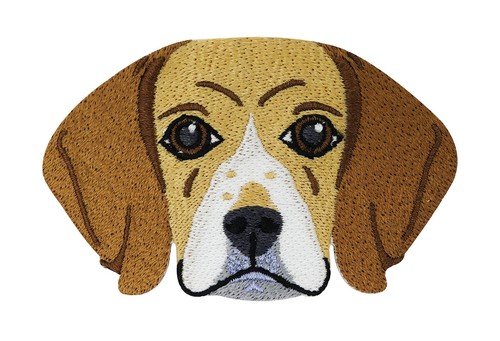 Niedlicher beagle hund - beagle, patch