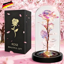 Ewige Rose im Glas Galaxy Rose