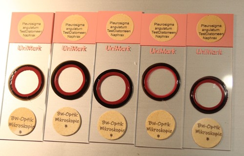 Mikroskop diatomeen - 5,