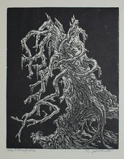 Goldschmitt, Bruno (1881-1964) - signierter Holzschnitt ALTE WETTERFICHTE