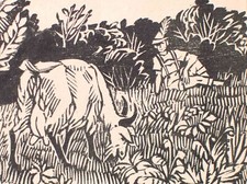 Ziege Tierdarstellung Jäger Manfred Butzmann Original Holzschnitt o.J.