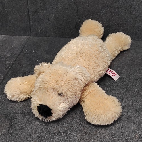 Nici teddy bär - teddy, ca