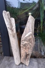 2 XL Treibholz Schwemmholz