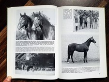 30 Jahre Trakehner Hengstmarkt