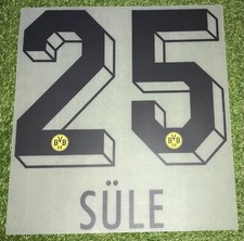 Niklas Süle Flock in