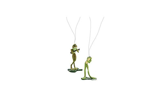 Disney prinzessin frosch - prinzessin,