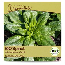 BIO Spinat Samen Sorte Winterriesen Verdil Gemüsesamen BIO Gemüse Saatgut samenf