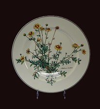 Villeroy boch speiseteller - boch,