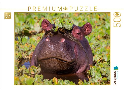 Calvendo puzzle das flusspferd - calvendo,