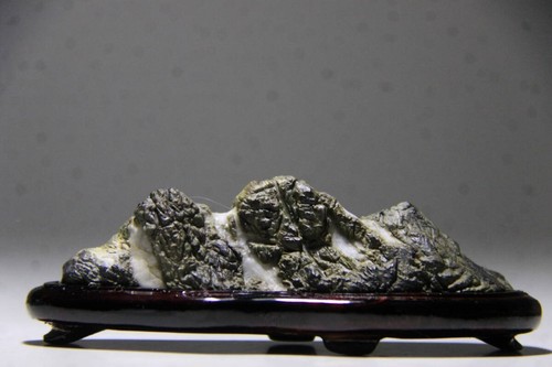 Suiseki bonseki japanischer - suiseki,