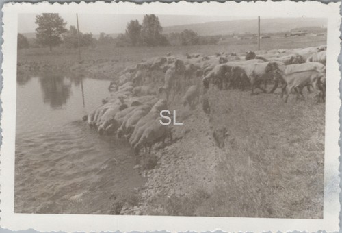 Foto kampfgeschwader 2 - foto,,
