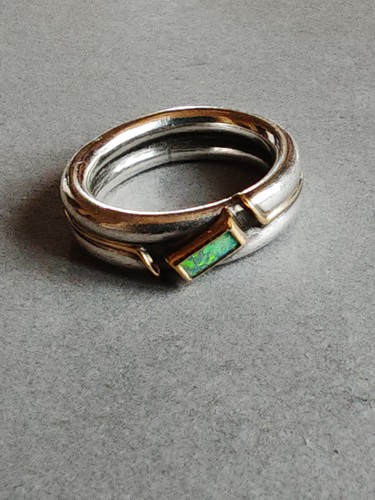 Ring silberschiene mit - silberschiene,