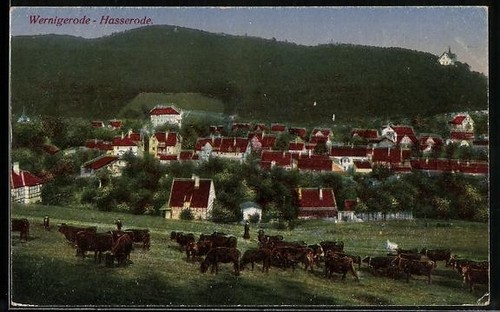 Wernigerode-Hasserode