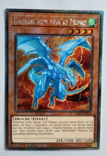 Drache von koa - drache,