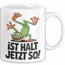 Sarkastischer Frosch Tier