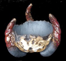 Bonsai - Bonsaischale Skodova - Shohin - Hörner - 9,5 x 5 cm - Handarbeit #171