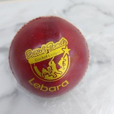 Lebara British Tamils Cricket