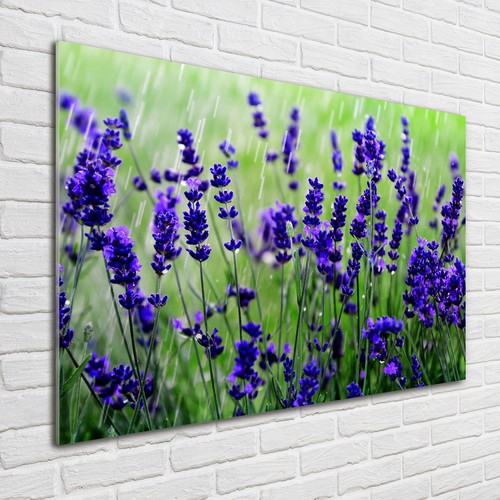 Glas bild wandbilder druck - glas-bild, auf