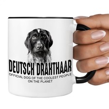 Deutsch Drahthaar DD Hund