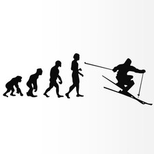 Autoaufkleber Evolution Ski