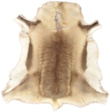 TOP RENTIERFELL RENTIER FELL HELL GRAU BEIGE 120 x 110 cm DEKO FELL