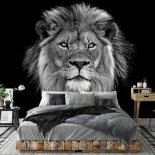 Vlies Fototapete Löwe Afrika