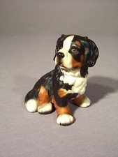 Berner Sennenhund Welpe, Dürrbächler Hund Schweiz Zughund, Rettungshund Hütehund