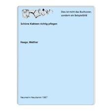 Schöne Kakteen richtig