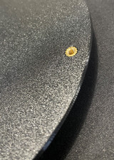 Messerteller Messerscheibe